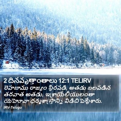2 దినవృత్తాంతాలు 12:1 TELIRV Bible Verse Image