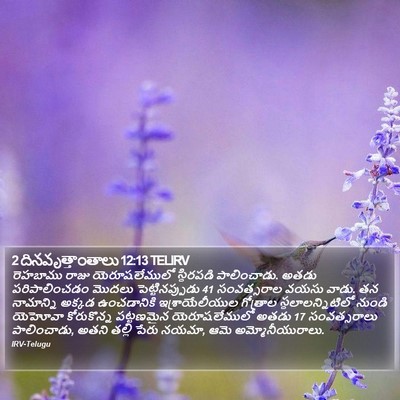 2 దినవృత్తాంతాలు 12:13 TELIRV Bible Verse Image