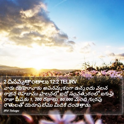 2 దినవృత్తాంతాలు 12:2 TELIRV Bible Verse Image