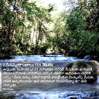 2 దినవృత్తాంతాలు 12:5 TELIRV Bible Verse Image
