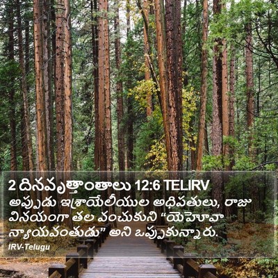 2 దినవృత్తాంతాలు 12:6 TELIRV Bible Verse Image