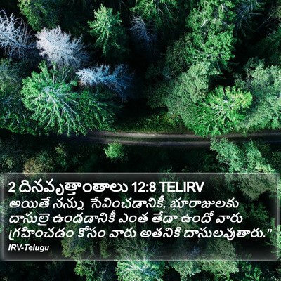 2 దినవృత్తాంతాలు 12:8 TELIRV Bible Verse Image
