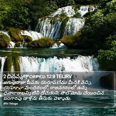 2 దినవృత్తాంతాలు 12:9 TELIRV Bible Verse Image
