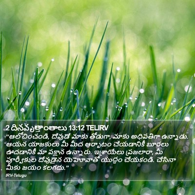 2 దినవృత్తాంతాలు 13:12 TELIRV Bible Verse Image