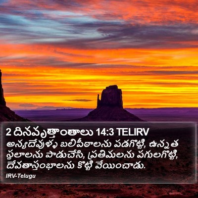2 దినవృత్తాంతాలు 14:3 TELIRV Bible Verse Image