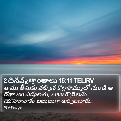 2 దినవృత్తాంతాలు 15:11 TELIRV Bible Verse Image