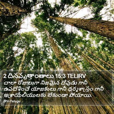 2 దినవృత్తాంతాలు 15:3 TELIRV Bible Verse Image