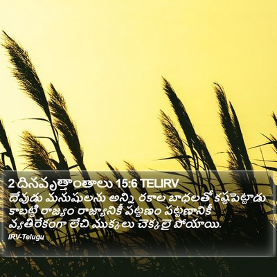 2 దినవృత్తాంతాలు 15:6 TELIRV Bible Verse Image