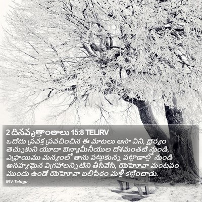 2 దినవృత్తాంతాలు 15:8 TELIRV Bible Verse Image