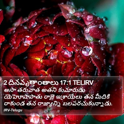 2 దినవృత్తాంతాలు 17:1 TELIRV Bible Verse Image