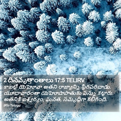 2 దినవృత్తాంతాలు 17:5 TELIRV Bible Verse Image