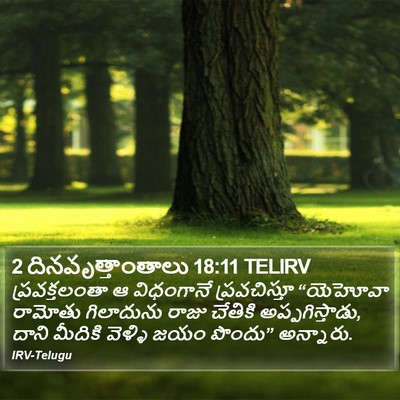2 దినవృత్తాంతాలు 18:11 TELIRV Bible Verse Image