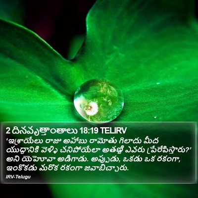 2 దినవృత్తాంతాలు 18:19 TELIRV Bible Verse Image