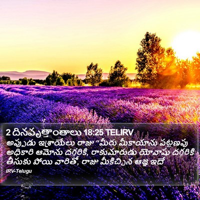 2 దినవృత్తాంతాలు 18:25 TELIRV Bible Verse Image
