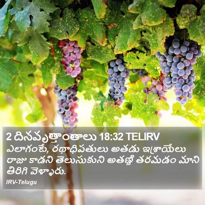 2 దినవృత్తాంతాలు 18:32 TELIRV Bible Verse Image
