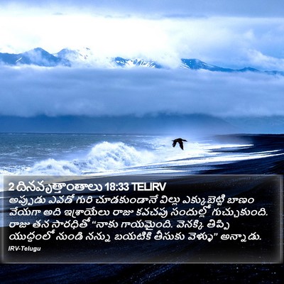 2 దినవృత్తాంతాలు 18:33 TELIRV Bible Verse Image