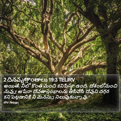 2 దినవృత్తాంతాలు 19:3 TELIRV Bible Verse Image