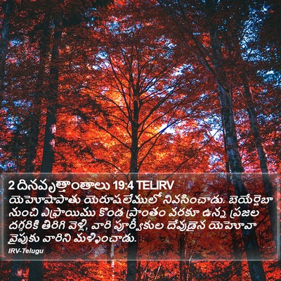 2 దినవృత్తాంతాలు 19:4 TELIRV Bible Verse Image