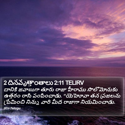 2 దినవృత్తాంతాలు 2:11 TELIRV Bible Verse Image