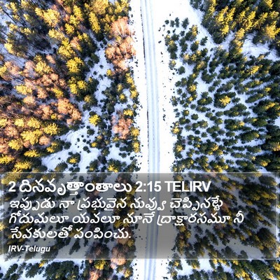 2 దినవృత్తాంతాలు 2:15 TELIRV Bible Verse Image
