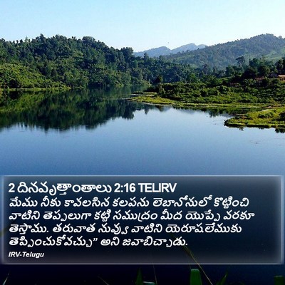 2 దినవృత్తాంతాలు 2:16 TELIRV Bible Verse Image