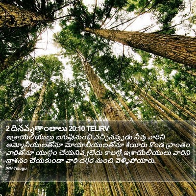 2 దినవృత్తాంతాలు 20:10 TELIRV Bible Verse Image