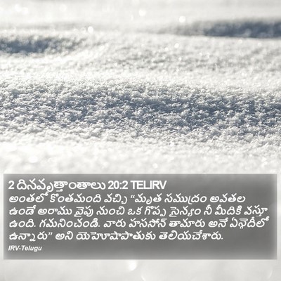 2 దినవృత్తాంతాలు 20:2 TELIRV Bible Verse Image