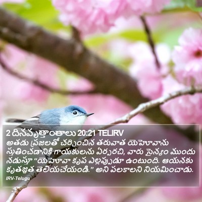 2 దినవృత్తాంతాలు 20:21 TELIRV Bible Verse Image