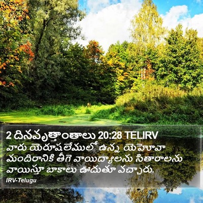 2 దినవృత్తాంతాలు 20:28 TELIRV Bible Verse Image