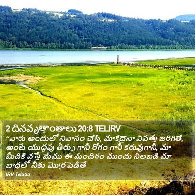 2 దినవృత్తాంతాలు 20:8 TELIRV Bible Verse Image