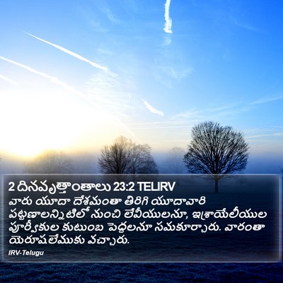 2 దినవృత్తాంతాలు 23:2 TELIRV Bible Verse Image