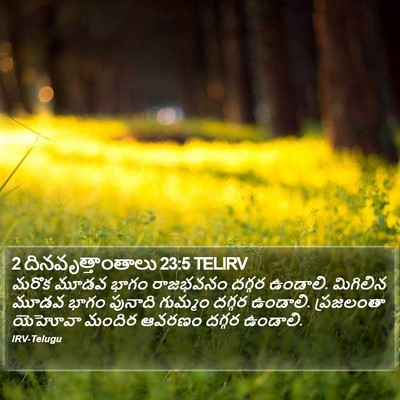 2 దినవృత్తాంతాలు 23:5 TELIRV Bible Verse Image