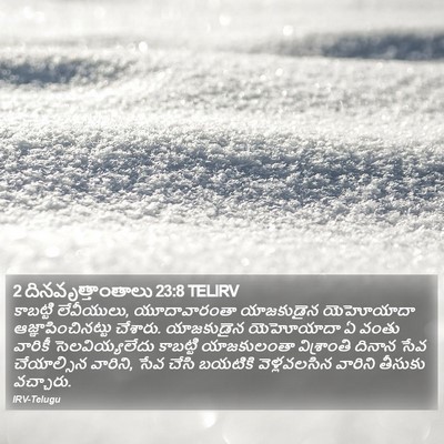 2 దినవృత్తాంతాలు 23:8 TELIRV Bible Verse Image