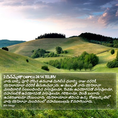 2 దినవృత్తాంతాలు 24:14 TELIRV Bible Verse Image