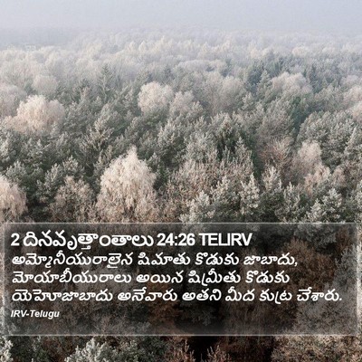 2 దినవృత్తాంతాలు 24:26 TELIRV Bible Verse Image