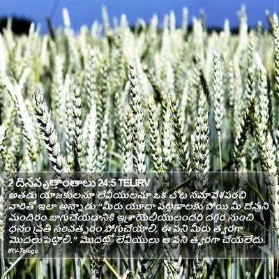 2 దినవృత్తాంతాలు 24:5 TELIRV Bible Verse Image