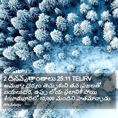 2 దినవృత్తాంతాలు 25:11 TELIRV Bible Verse Image