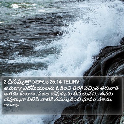 2 దినవృత్తాంతాలు 25:14 TELIRV Bible Verse Image