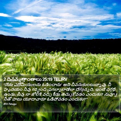 2 దినవృత్తాంతాలు 25:19 TELIRV Bible Verse Image