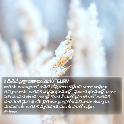 2 దినవృత్తాంతాలు 26:10 TELIRV Bible Verse Image