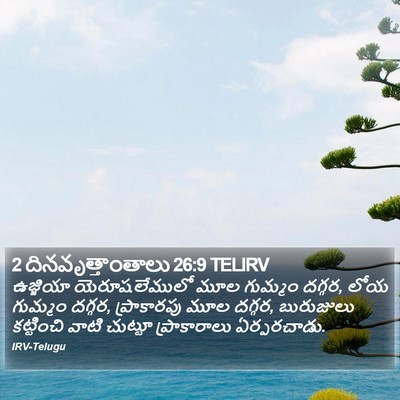 2 దినవృత్తాంతాలు 26:9 TELIRV Bible Verse Image