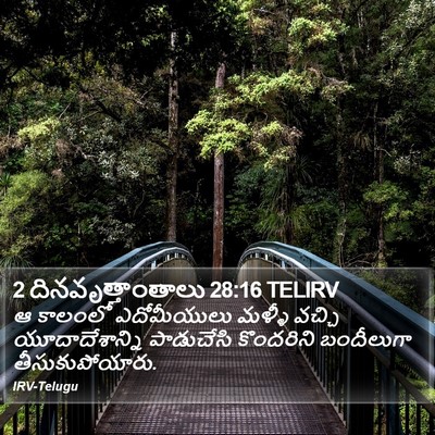 2 దినవృత్తాంతాలు 28:16 TELIRV Bible Verse Image