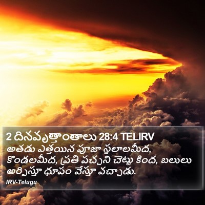 2 దినవృత్తాంతాలు 28:4 TELIRV Bible Verse Image