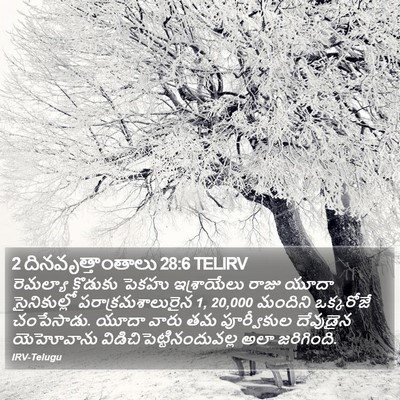 2 దినవృత్తాంతాలు 28:6 TELIRV Bible Verse Image
