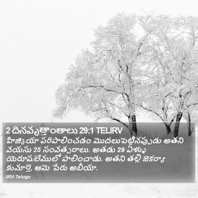 2 దినవృత్తాంతాలు 29:1 TELIRV Bible Verse Image