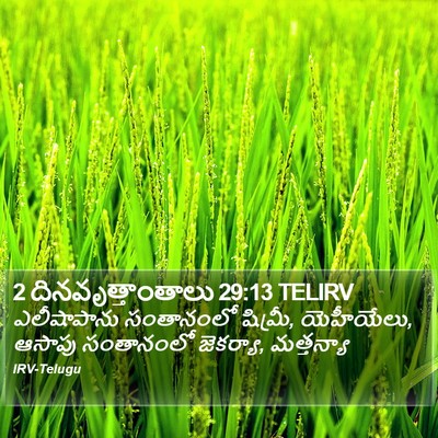 2 దినవృత్తాంతాలు 29:13 TELIRV Bible Verse Image