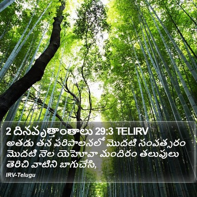 2 దినవృత్తాంతాలు 29:3 TELIRV Bible Verse Image