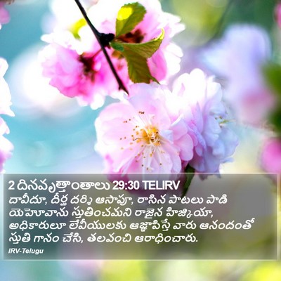 2 దినవృత్తాంతాలు 29:30 TELIRV Bible Verse Image