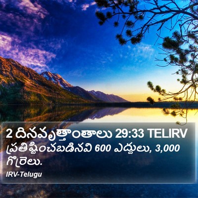 2 దినవృత్తాంతాలు 29:33 TELIRV Bible Verse Image