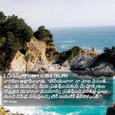 2 దినవృత్తాంతాలు 29:5 TELIRV Bible Verse Image